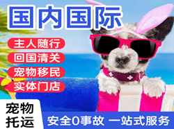 长春航空快运国际宠物托运 【国